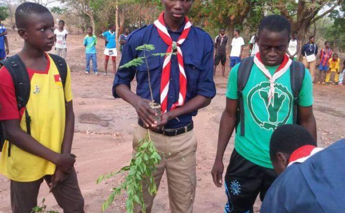 Atténuation des effets du changement climatique