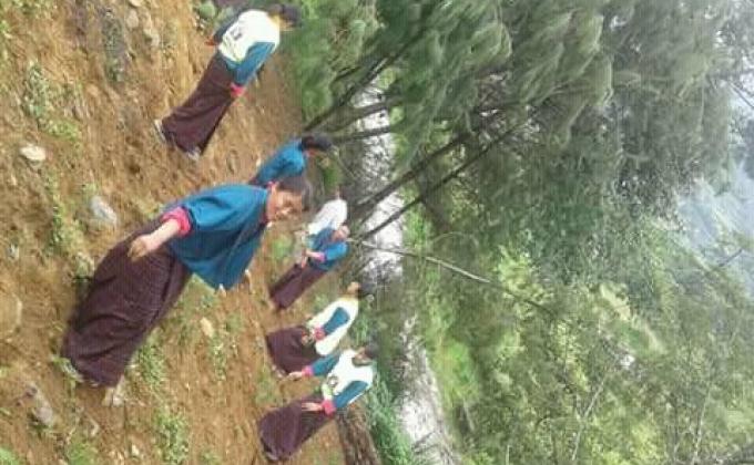 contribution to environment 