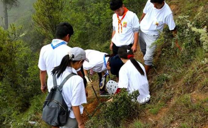 Planting trees for Future 
