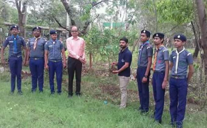 "tree plantation"