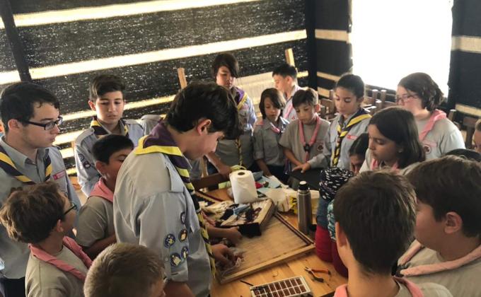 "WOBBLE BOTS - VINEGAR BATTERY - STATIC ELECTRIC - LAB" CHALLENGE