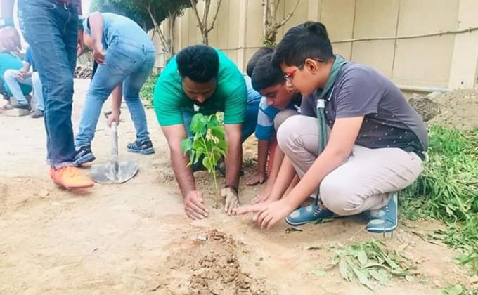 Plantation on Independence Day