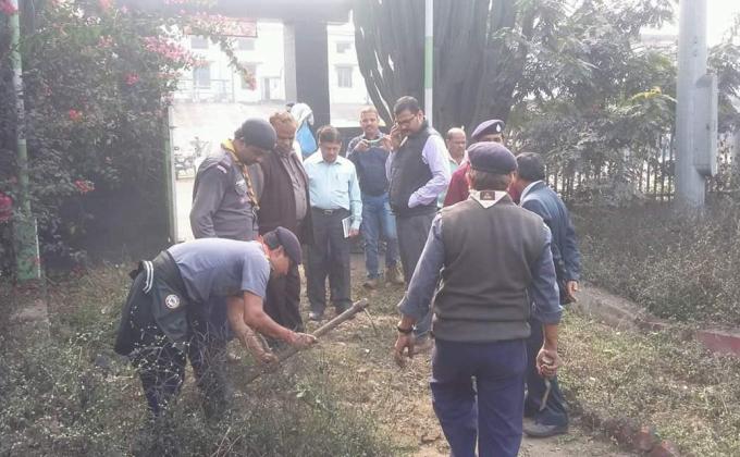 CLEAN PARK GREEN PARK