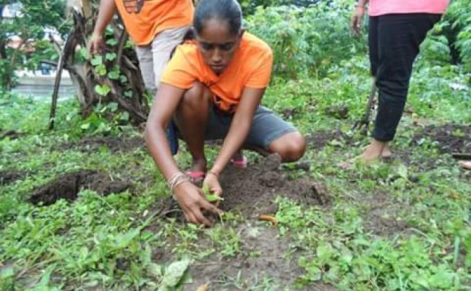 GIVING BACK TO MOTHER NATURE - BLESSED INTERNATIONAL WOMAN'S DAY TO MOTHER NATURE