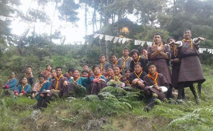 Tree Plantation