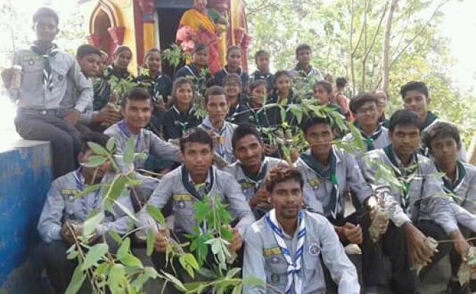 tree plantation