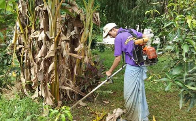 Cutting of grass in the school compound 