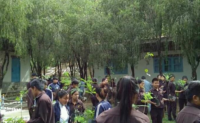 To obserb social forestry day on 2nd june.