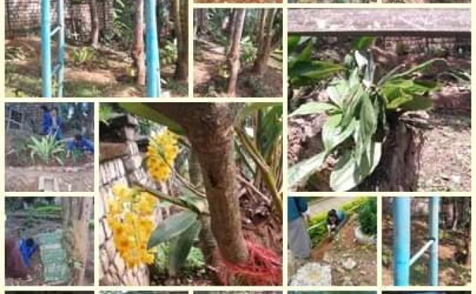 love flora challenge