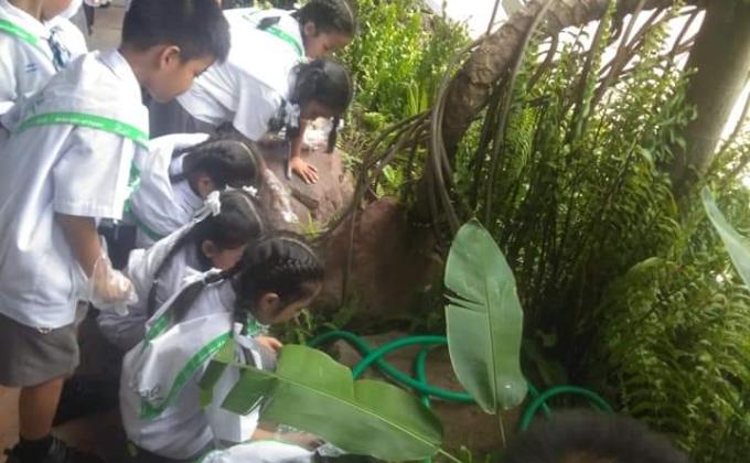 กำจัดขยะ