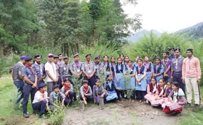 Tree Plantation Drive in 17 Mile Kullu