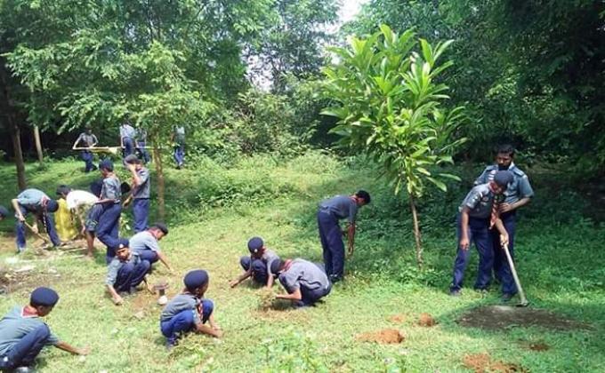 Medicinals plantation programme