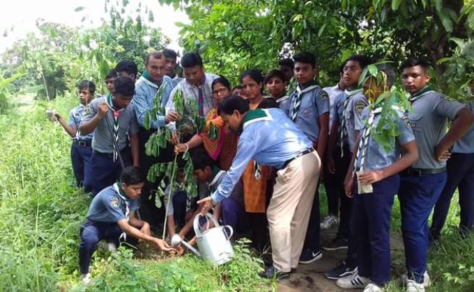 Tree Plantion 