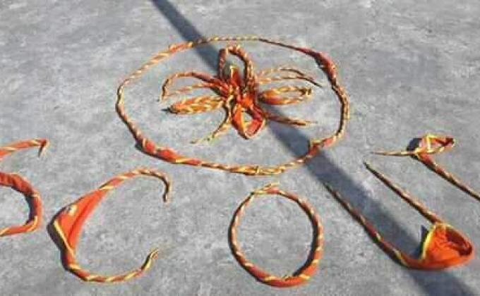 "Practical Session for Senoir scouts"