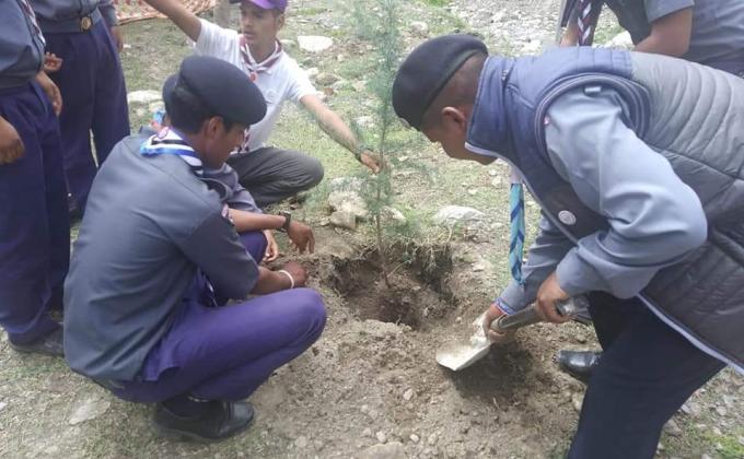 Tree Plantation Programme.