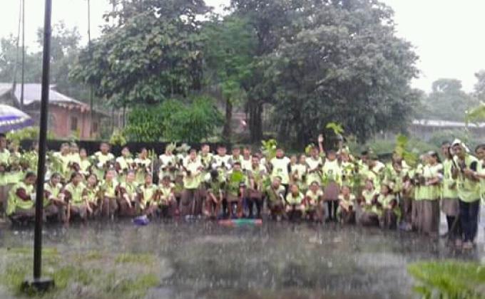 plantation 