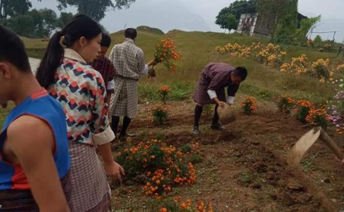 Development of Botanical Scout Den.