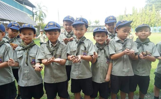 โรงเรียนสะอาดด้วยมือหนู