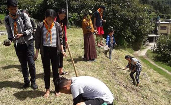 Tree Plantation
