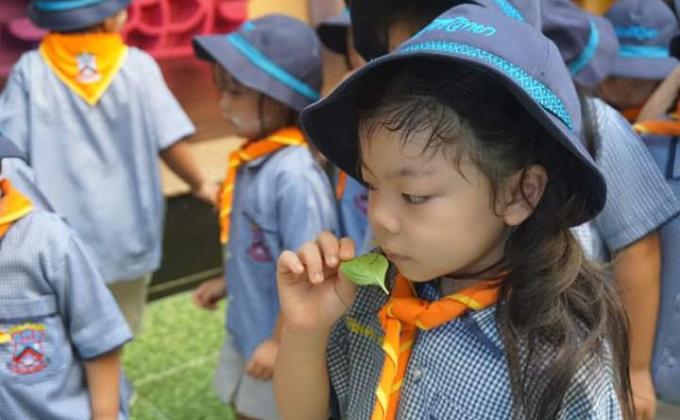 กิจกรรมเข้าค่ายลูกเสือบีเวอร์