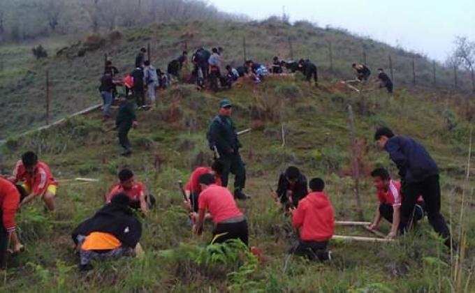 planting trees at takali 