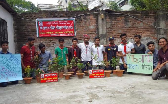 planting tree