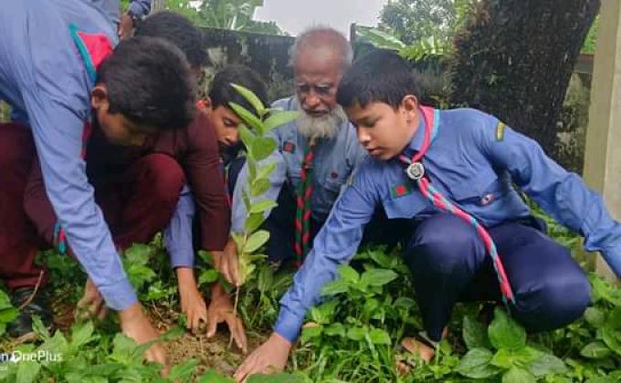 Plantation of scouts!!