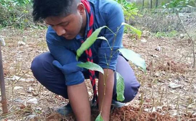 বাঙলা কলেজ ক্যাম্পাসে বৃক্ষরোপণ কর্মসূচি 