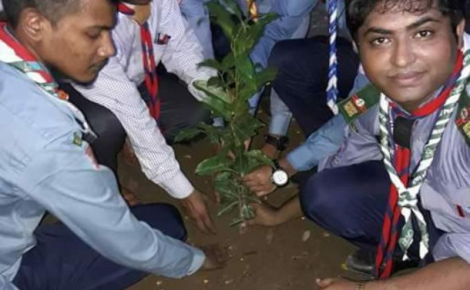 জেলা রোভারের বৃক্ষরোপণ কর্মসূচি