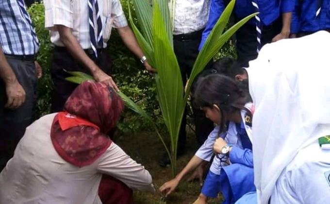 Tree Plant
