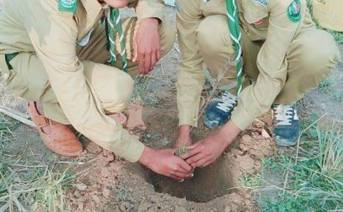 Green Pakistan "Planting" Campaign