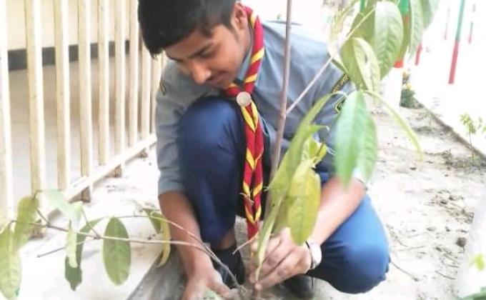  মুজিববর্ষে বৃক্ষরোপণ কর্মসূচি 