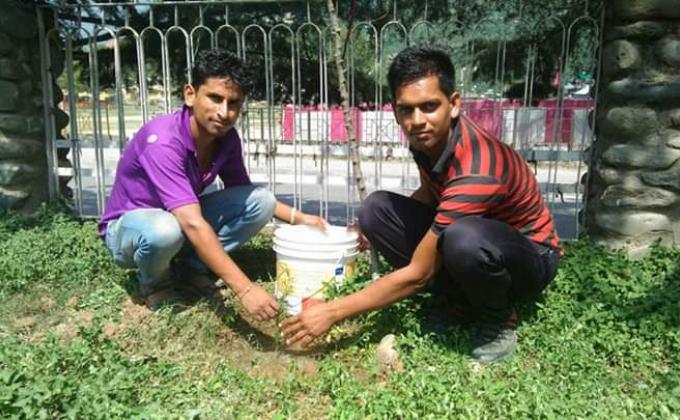 पौधा रोपण 