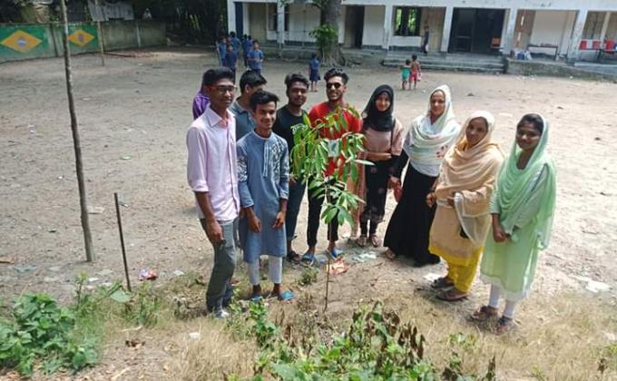 Tree Plantation 