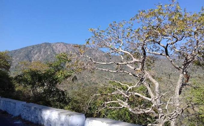 Nature study and environmental flwarevess S.T.C mount abu Rajasthan. 