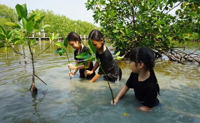 ร่วมกันปลูกป่า