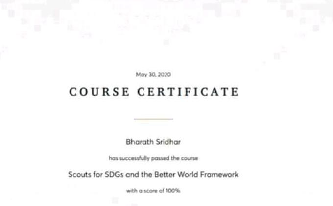 (D) Digital scouting guiding,#E-learning
