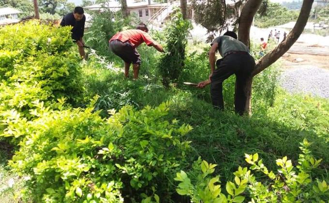 Highlight on social forestry day