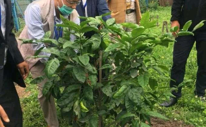 बिश्व बाताबरण दिबस को उपलक्ष्यमा अन्तरास्ट्रिय सम्मेलन केन्द्र बानेश्वर मा बोटबिरुवा हरु रोप्दै !!