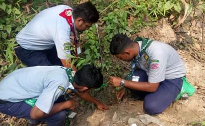 Sebabratee tree plantation project