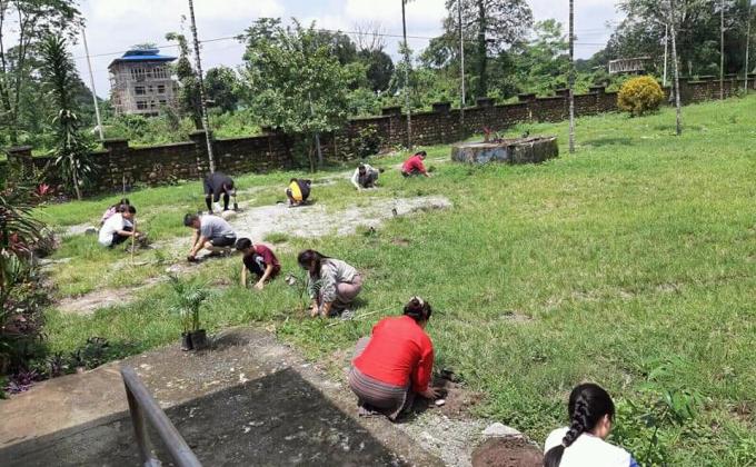 june 2 plantation