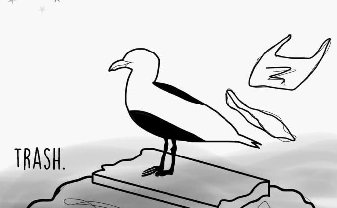 Tide Turners Plastic Challenge Creative Campaign Week 3