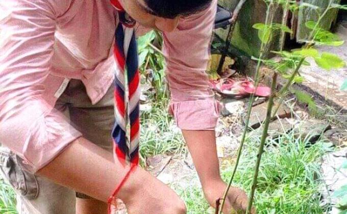 Tree Planting Program 2020 under the direction of Bangladesh  Scouts