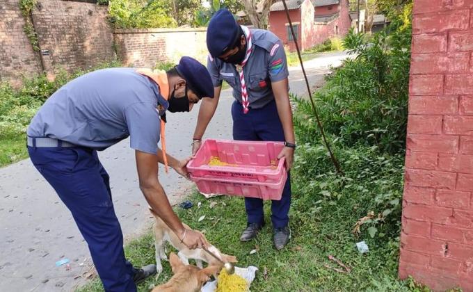 ANIMALS FEEDING IN LOCKDOWN TIME