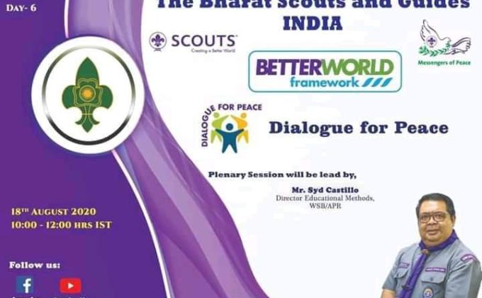 webinar on Better world framework