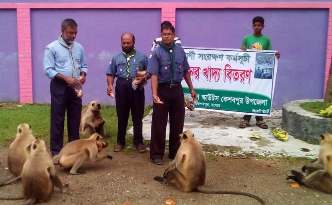 Wildlife Conservation Program (Hanuman's food)