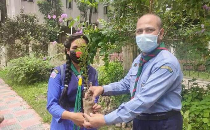 Tree Distribution & Plantation