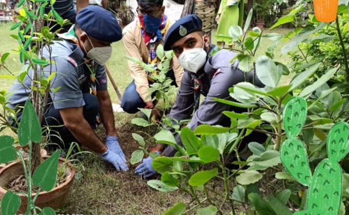 Activity IDP 2020 8.9 PLANT A TREE 