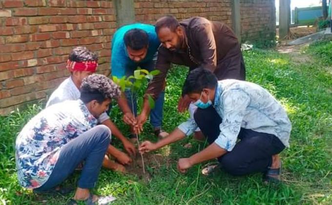 বৃক্ষ রোপণ