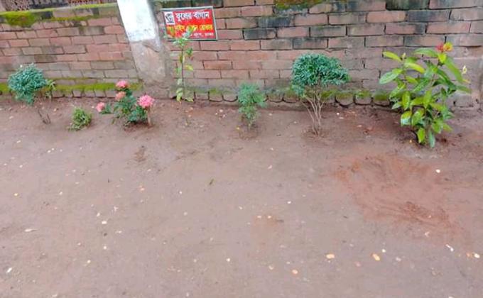 বাগান পরিচর্যা (৪র্থ দিন)